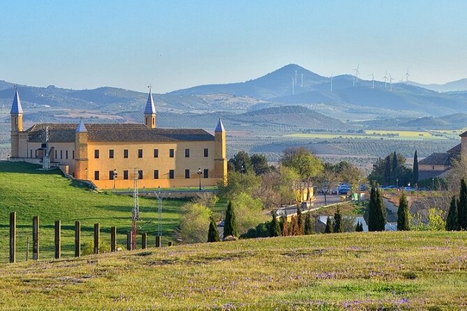 Game of Thrones Walking Tour in Seville With Optional Trip to Osuna - Optional Trip to Osuna