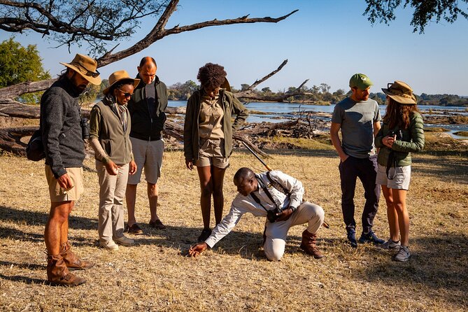 Game Walk in the Zambezi National Park, Victoria Falls - Fitness Level and Requirements