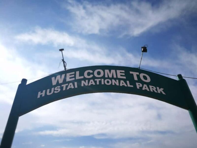 Gandan monastery and Hustai National park-all inclusive tour - The Scenic Drive to Khustai National Park