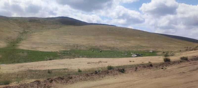 Gandan monastery and Hustai National park-all inclusive tour - Wildlife and Landscape Highlights