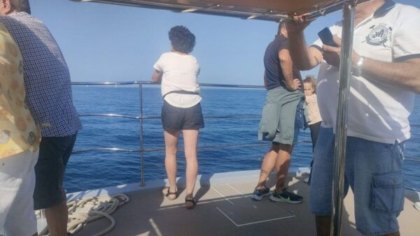 Gandía: Sea Cruise From Gandia With Sunset Option - The Sum Up