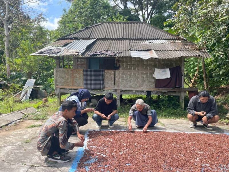 Gangga Village Walking Tour & Kertagangga Waterfall Lombok - Learning About Local Plantations and Agricultural Practices