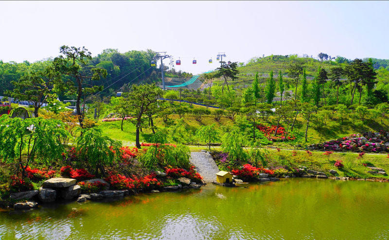 Ganghwa Luge&Joyang Textile&Hwagae Garden&Daeryong Market Day Tour - Is this Ganghwa day trip right for you?