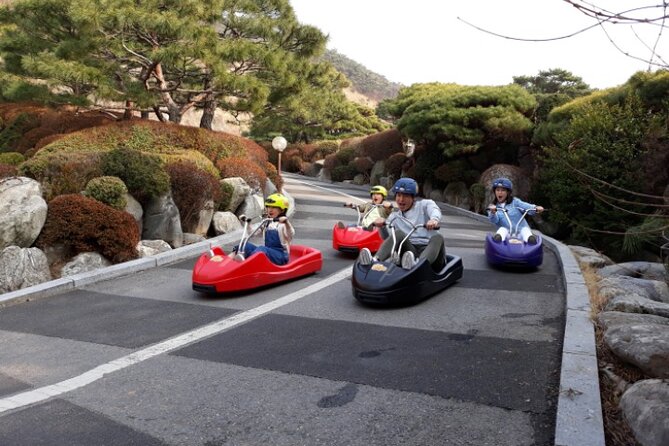 Ganghwado ActivityGinseng/Strawbessy Experience Day Tour - Tour Inclusions