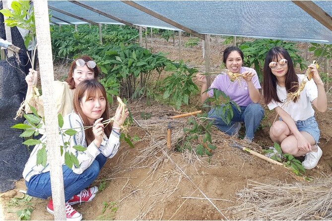 Ganghwado ActivityGinseng/Strawbessy Experience Day Tour - Common Questions