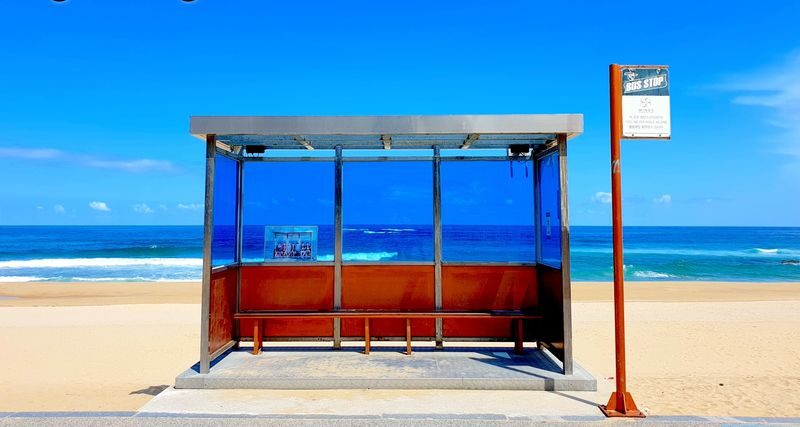 Gangneung Arte Museum K-Pop Bus Stop Private Full-Day Tour - Does the starting price make sense?
