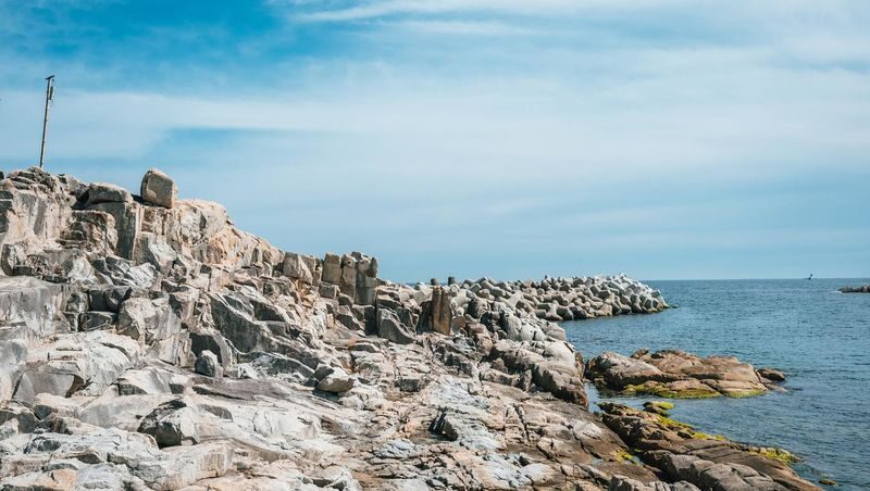 Gangneung Day Tour | K-pop & K-drama Filming Locations (From Seoul) - Who should book this Gangneung day tour?