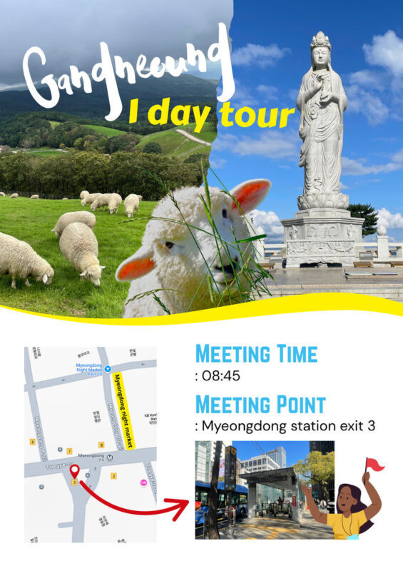 Gangneung Highlights 1 day tour - What the price buys, and what to check