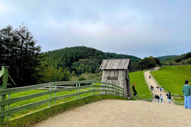 Gangneung Sightseeing Day Tour - A Well-Balanced Day Out: Final Thoughts