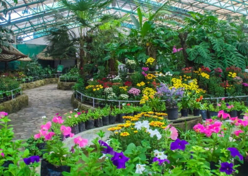 Gangtok: Guided Walking Tour with Ridge Park & Monastery - A Deep Dive Into the Gangtok Guided Walking Tour