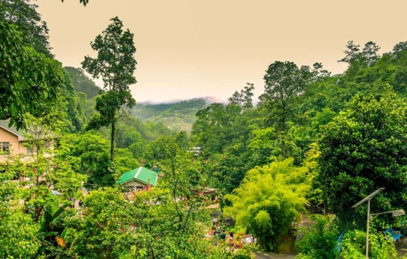 Gangtok in Half a Day: Guided Tour with Hotel Pickup - The Sum Up