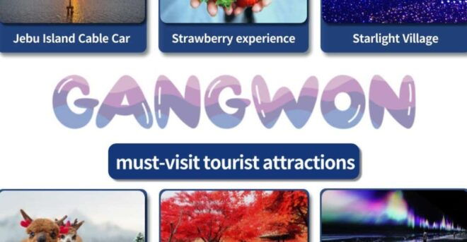 Gangwon-do: 10 HR Car Charter Tour - Service Inclusions