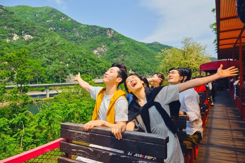 Gangwon-do and Gyeonggi-do Private Car Charter - Choose the right package before planning your day