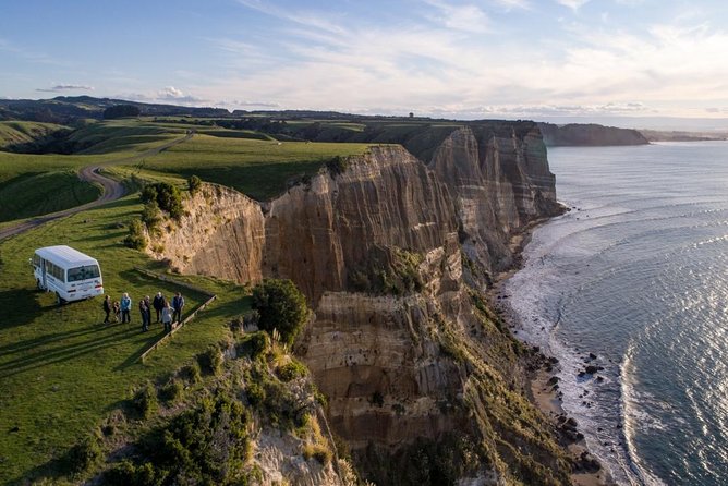 Gannet Safaris Overland Tour to Cape Kidnappers Gannet Colony - Tour Highlights