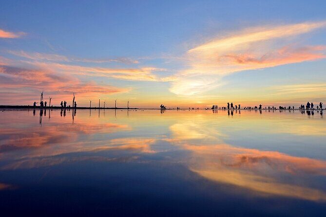 Gaomei Wetland Day Trip from Ximending - Good To Know