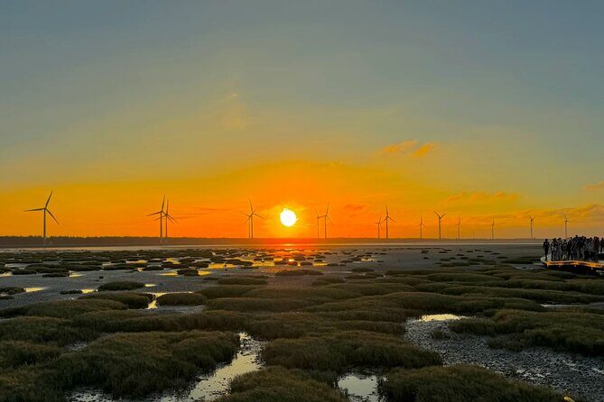 Gaomei Wetland Day Trip from Ximending - An In-Depth Look at Each Stop