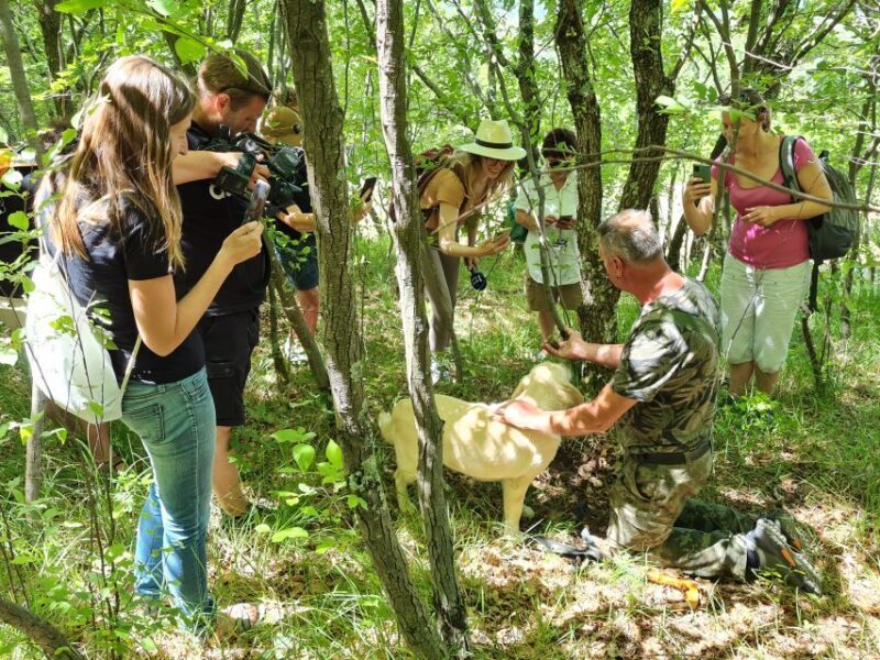 Gaon - Istria: Truffle Hunting & Cooking & Tasting - FAQs