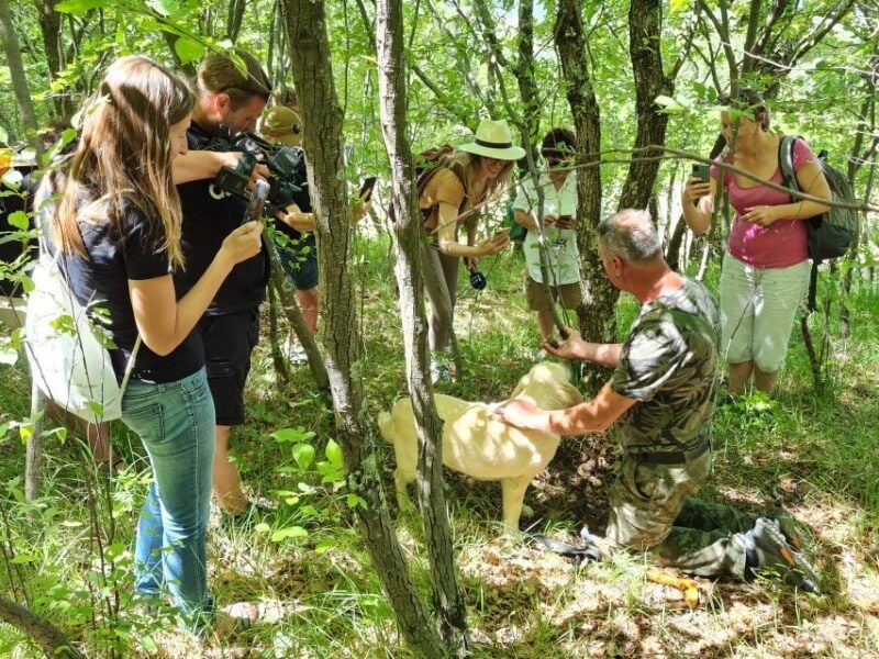 Gaon - Istria: Truffles Hunting & Cooking & Tasting - Good To Know