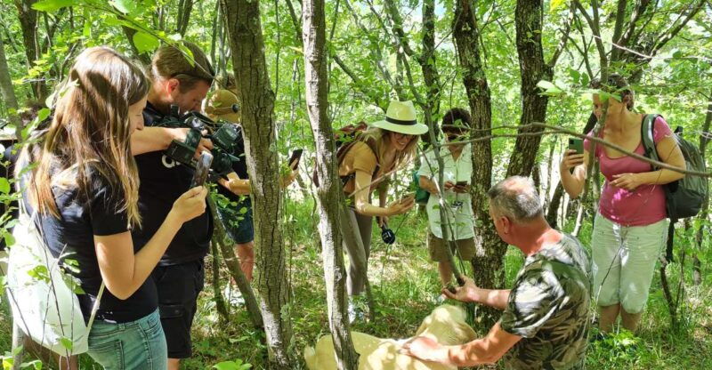 Gaon - Istria: Truffles Hunting & Cooking & Tasting - Practical Details and Tips