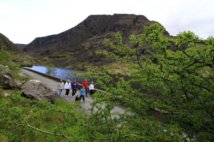 Gap of Dunloe & Lakes of Killlarney Boat Tour - Discover the Gap of Dunloe