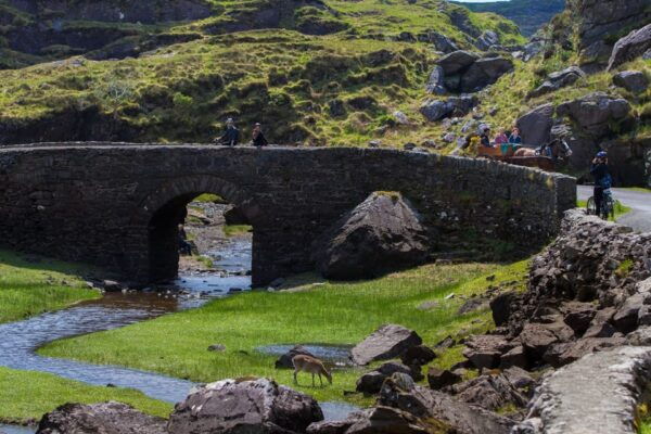 Gap of Dunloe & Lakes of Killlarney Boat Tour - What to Bring and Expect