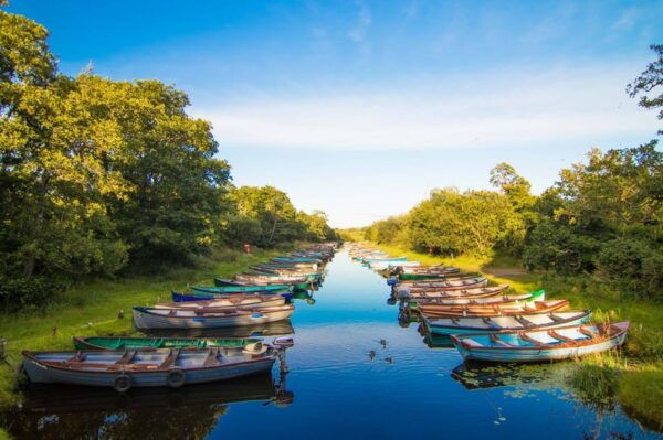 Gap of Dunloe & Lakes of Killlarney Boat Tour - Frequently Asked Questions