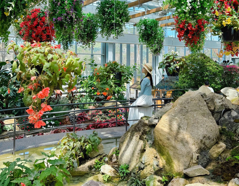 Gapyeong Alpaca & Sheep Ranch, Begonia Bird Park & Water Garden Tour - Why this Gapyeong route works