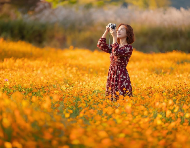 Gapyeong Alpaca & Sheep Ranch, Begonia Bird Park & Water Garden Tour - Who should book this day out
