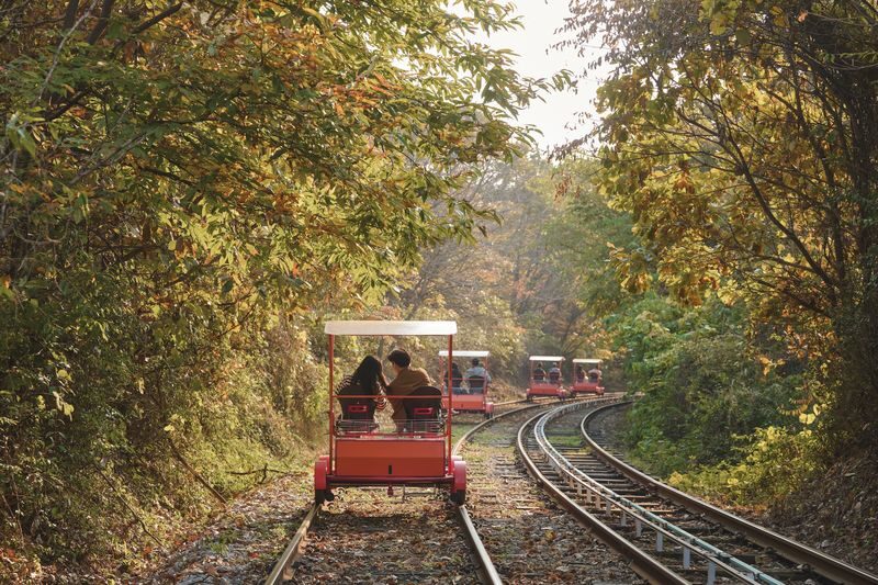 Gapyeong Rail Bike Experience Ticket - Choosing a bike, season, and departure time