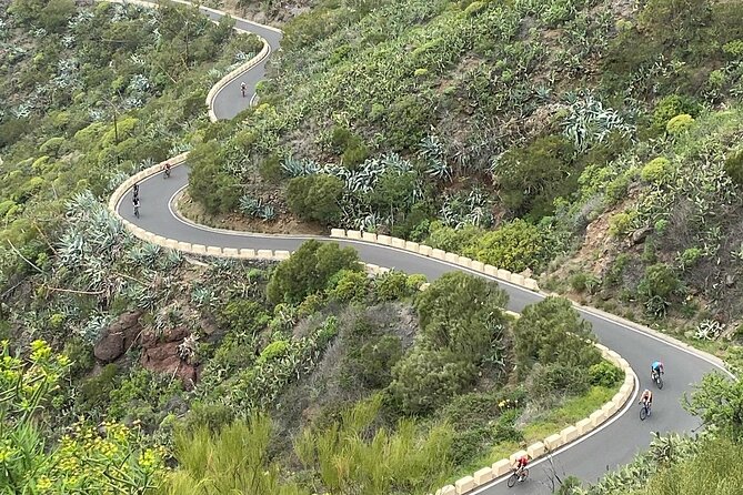 Garachico - Masca Road Bike Loop - Guided Tour on the Most Scenic Route