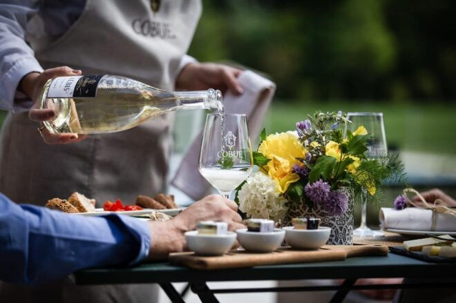 Garda Countryside: Winery Tour and Wine Tasting in the Hills - Explore the Winery