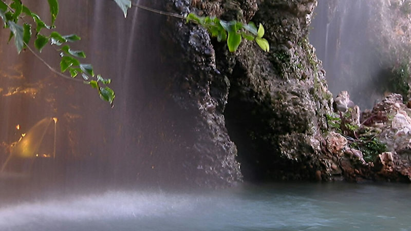 Garda Thermal Park ticket in Villa dei Cedri - The grounds and the quieter side of Lake Garda