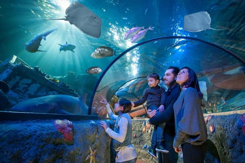Gardaland SEA LIFE Aquarium: Open Date Entry Ticket - A Closer Look at What to Expect at Gardaland SEA LIFE Aquarium
