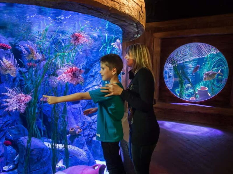 Gardaland SEA LIFE Aquarium: Open Date Entry Ticket - Who Should Visit?