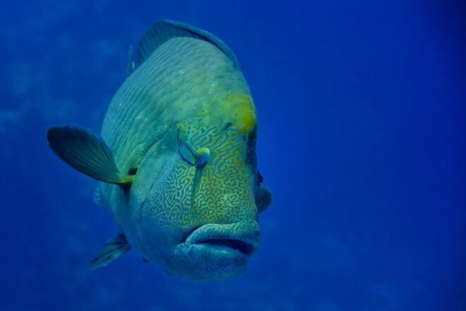 Gardaland SEA LIFE Aquarium: Open Date Entry Ticket - Visitor Information