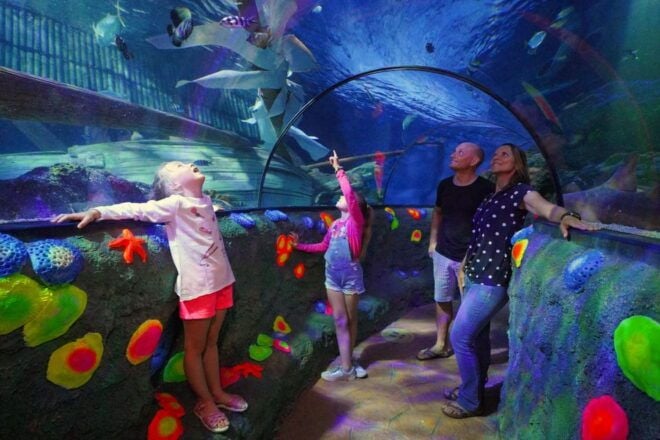 Gardaland SEA LIFE Aquarium: Open Date Entry Ticket - Additional Information