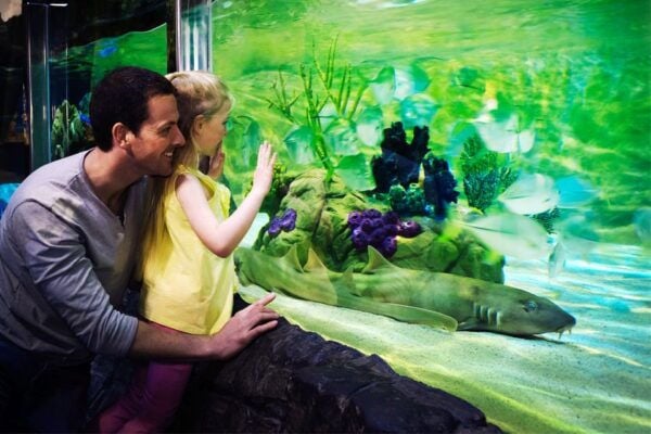 Gardaland SEA LIFE Aquarium: Open Date Entry Ticket - Shuttle Bus and Accessibility