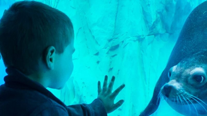 Gardaland SEA LIFE Aquarium ticket - Getting there from Peschiera and the main roads