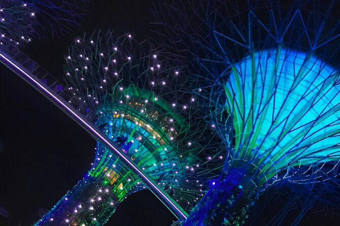 Garden by the Bay Singapore combo - A Deep Dive into the Gardens by the Bay Combo Tour