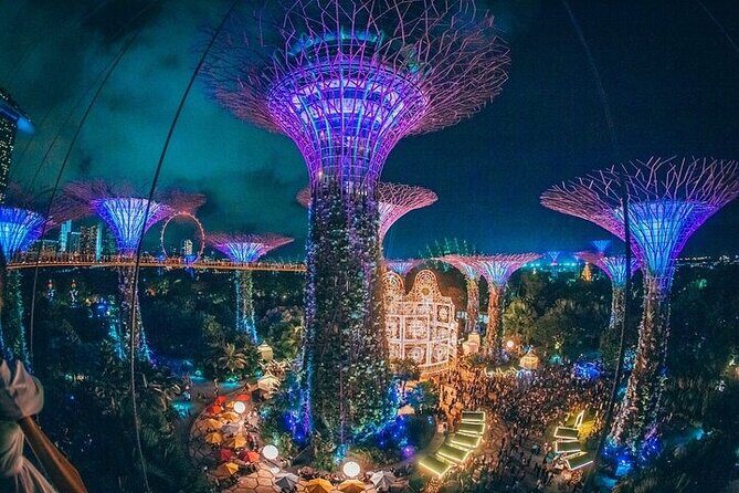 Garden by the Bay Ticket Only Optional Skypark Observation Deck - Good To Know