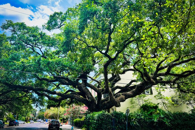 Garden District Walking Tour - Lafayette Cemetery No. 1