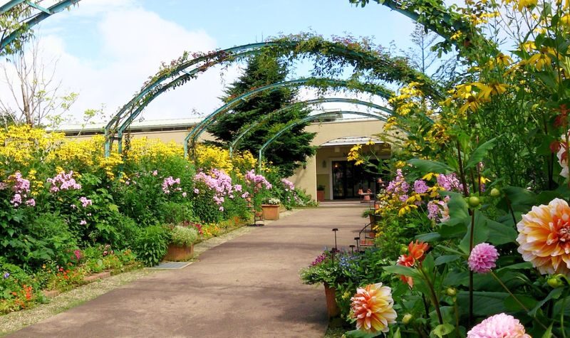 Garden Museum Hiei - Why Garden Museum Hiei is more than a quick gallery visit