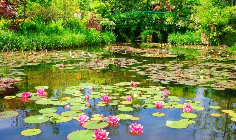 Garden Museum Hiei - What to see among the gardens and paintings