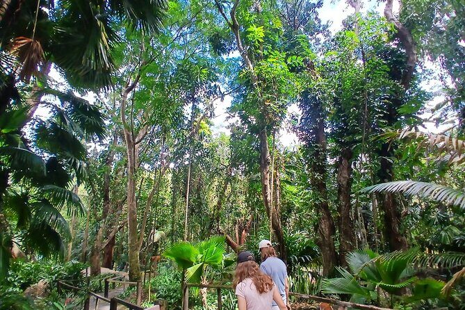 Garden of Sleeping Giant Tour with Tifajek Mud Pool and Hotspring - Practical Details