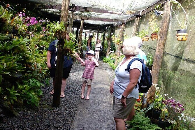 Garden of Sleeping Giant with Sabeto Hotspring Mudpool Tour - Good To Know