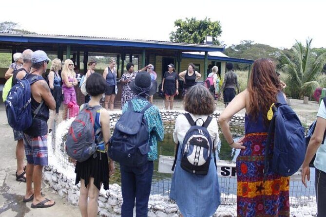 Garden of Sleeping Giant with Sabeto Hotspring Mudpool Tour - Who Will Love This Tour?