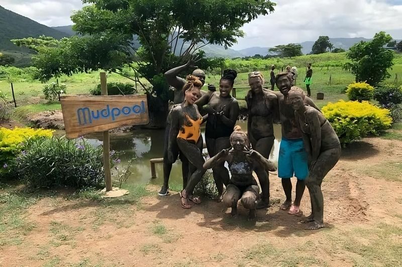 Garden of the Sleeping Giant & Sabeto Hot Spring Mud Pool and Tours Half-day Nature & Temple Tour - At a glance