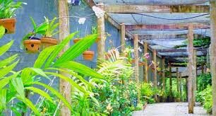 Garden of the Sleeping Giant & Sabeto Hot Spring Mud Pool and Tours Half-day Nature & Temple Tour - A half-day with more than one kind of stop