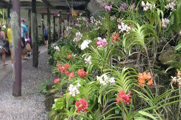 Garden of the Sleeping Giant & Sabeto Hot Spring Mud Pool and Tours Half-day Nature & Temple Tour - Guides and group size: the personal touch matters