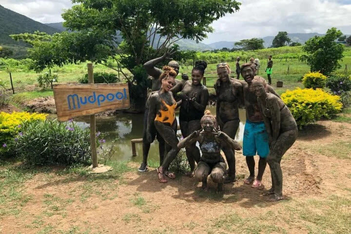 Garden of the Sleeping Giant & Sabeto Hot Spring Mud Pool and Tours Half-day Nature & Temple Tour - Who should book this outing?
